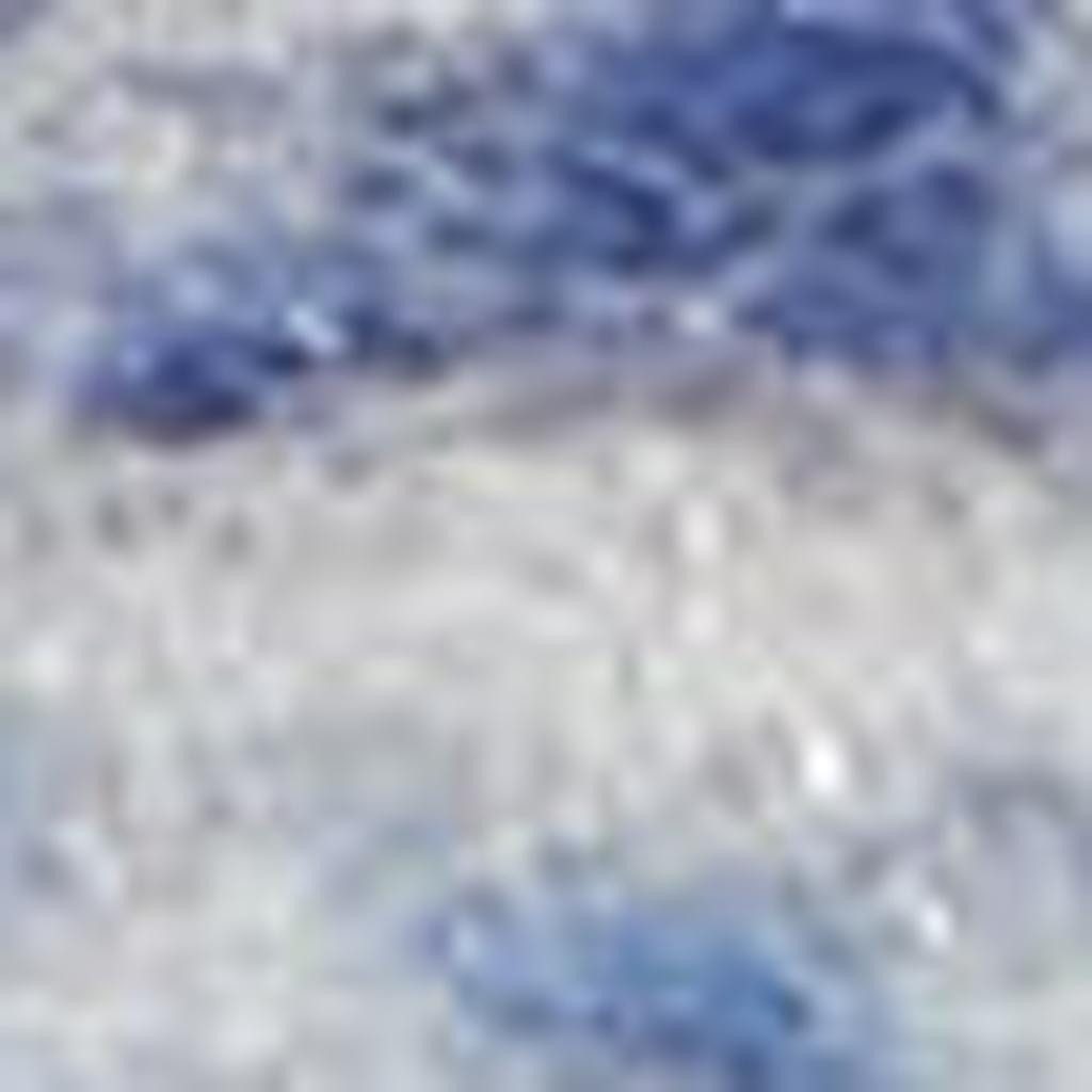 6′ X 9′ Blue and Gray Floral Polypropylene Area Rug