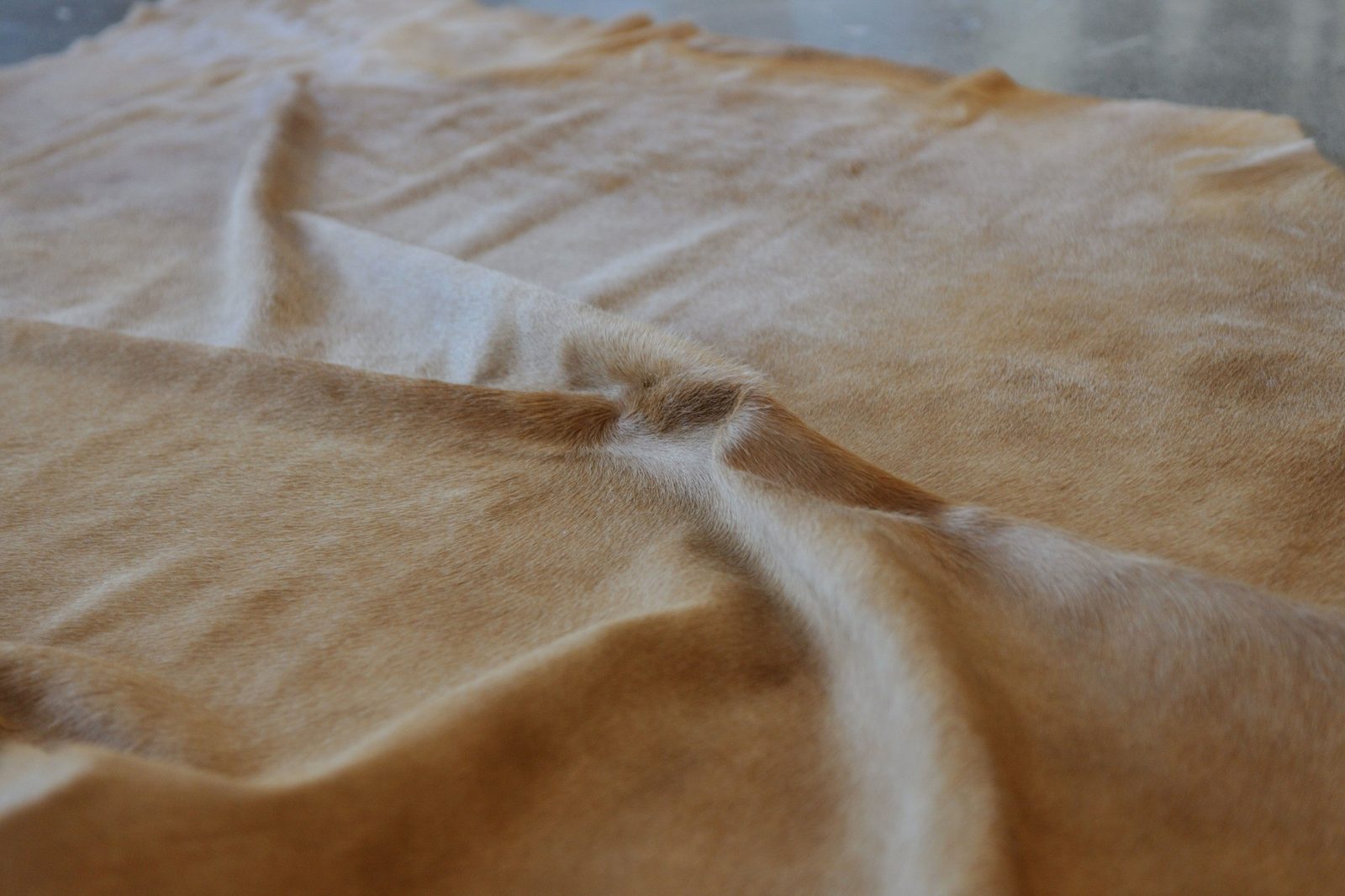 6′ X 7′ Golden Brown Cowhide Area Rug