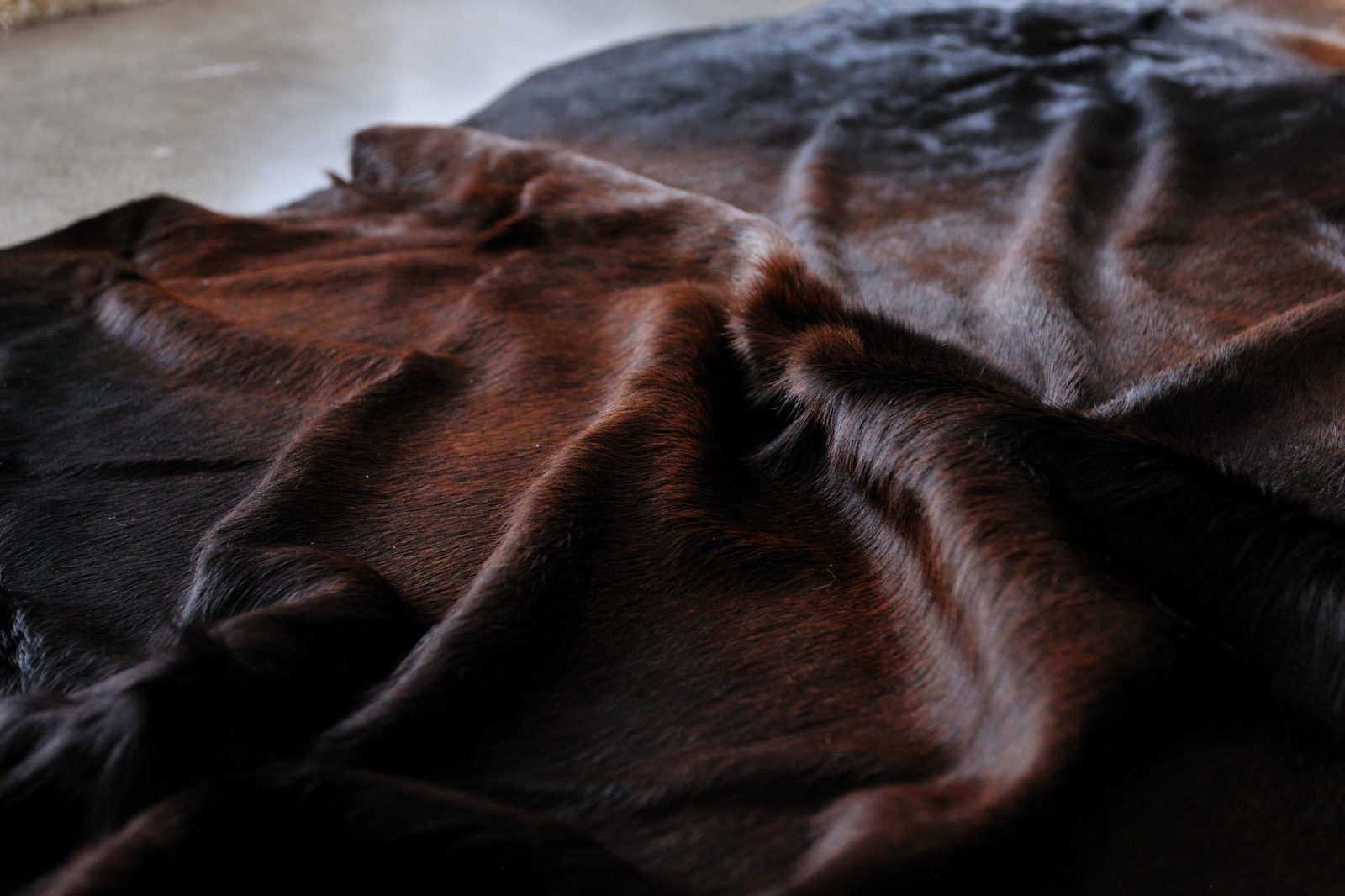 6′ X 7′ Black And White Cowhide Print Area Rug