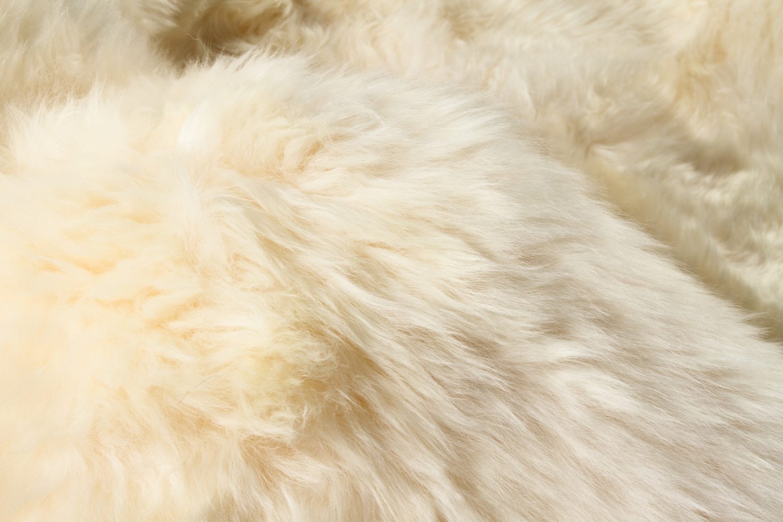 2′ X 3′ Gold Sheepskin Non Skid Area Rug