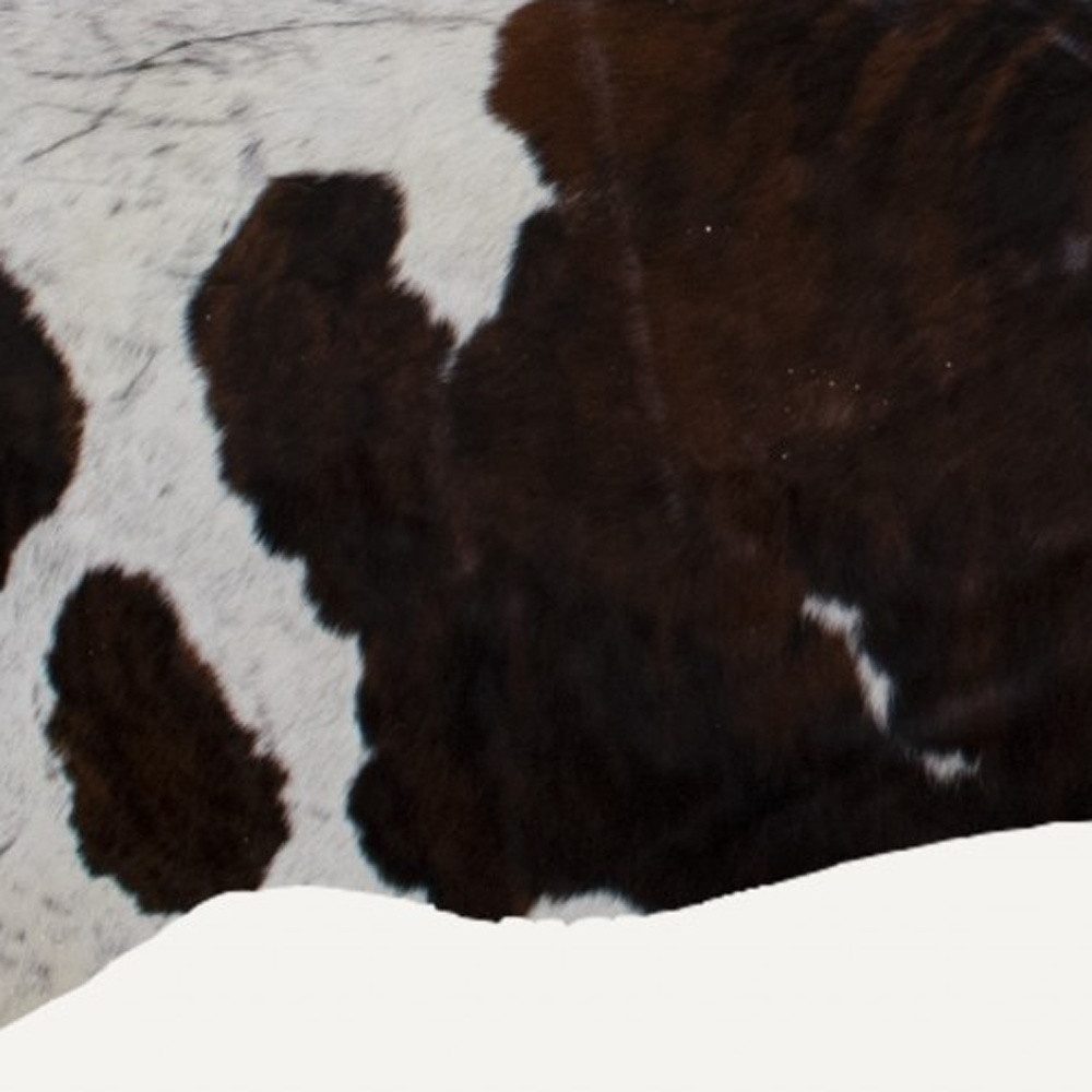 6′ X 7′ Brown And White Cowhide Area Rug II