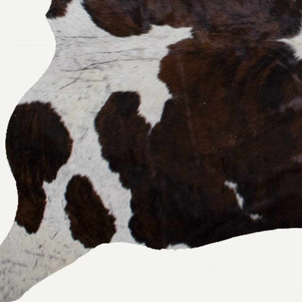 6′ X 7′ Brown And White Cowhide Area Rug II