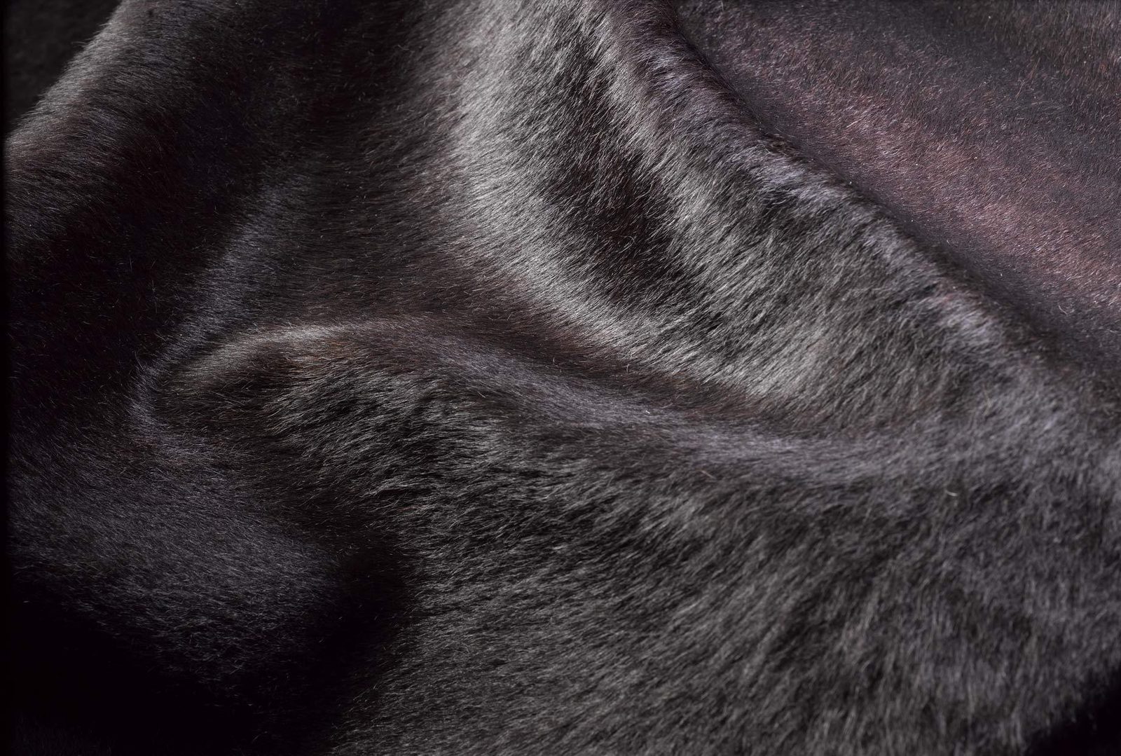 6′ X 7′ Chocolate Cowhide Area Rug