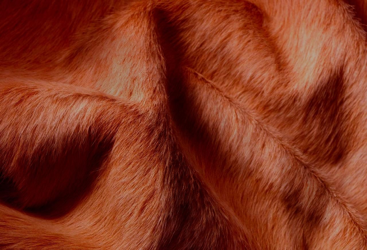 5′ X 7′ Brown Cowhide Print Area Rug