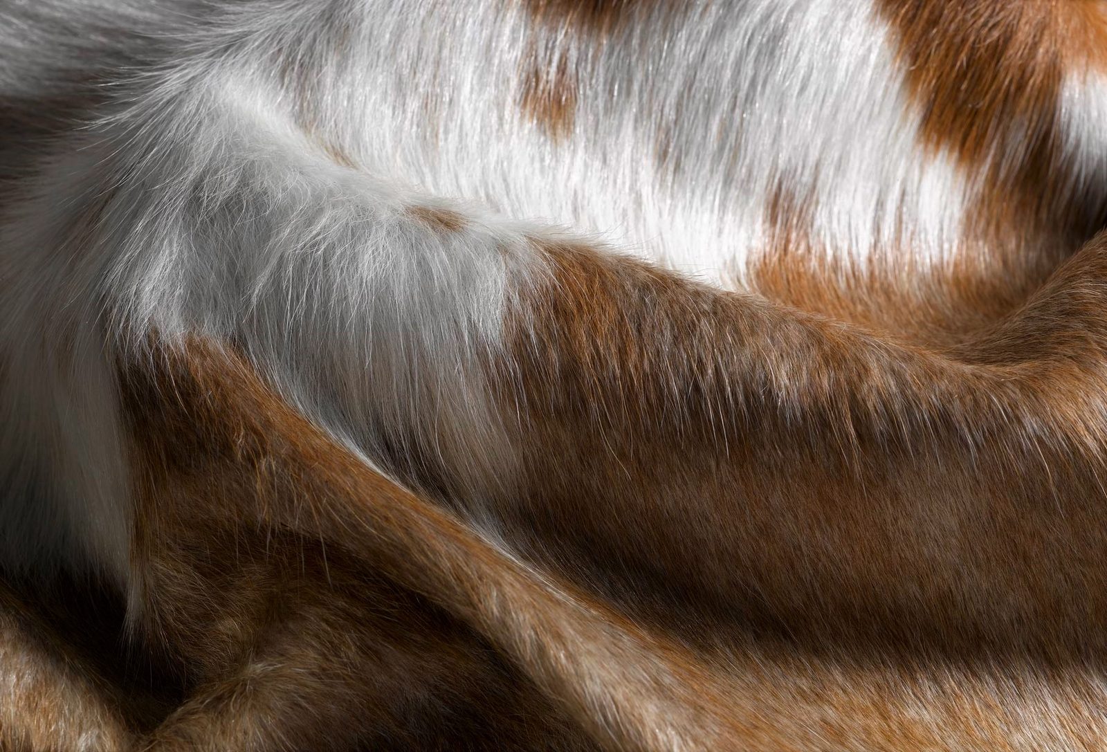 5′ X 7′ Brown And White Cowhide Area Rug II