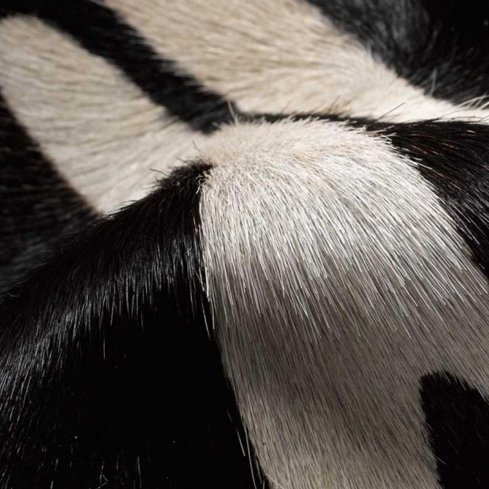 5′ X 7′ Zebra Stripe Natural Cowhide Area Rug
