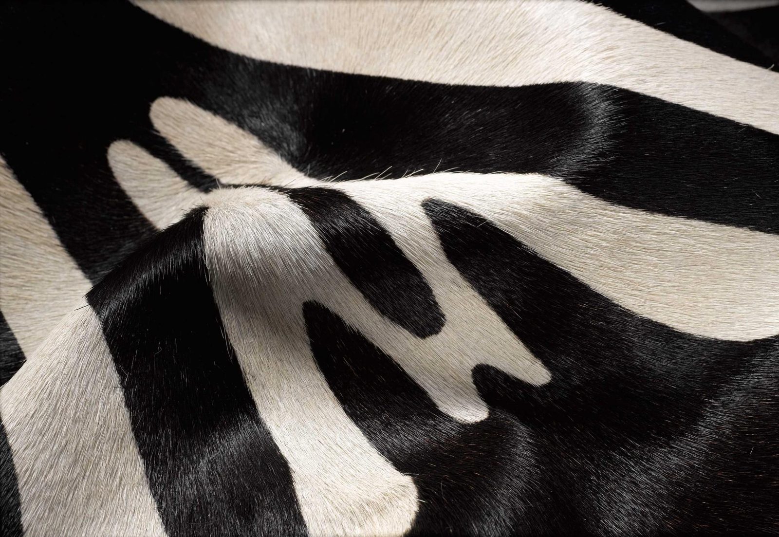 5′ X 7′ Zebra Stripe Natural Cowhide Area Rug