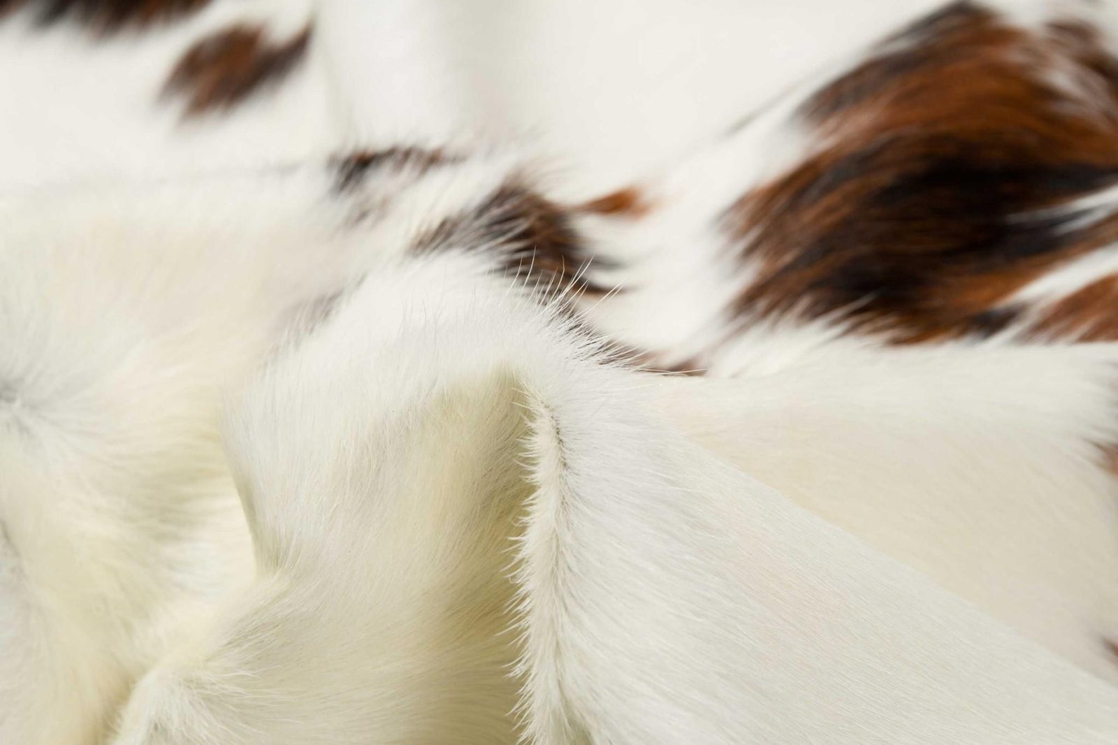 5′ X 7′ Brown And White Cowhide Area Rug