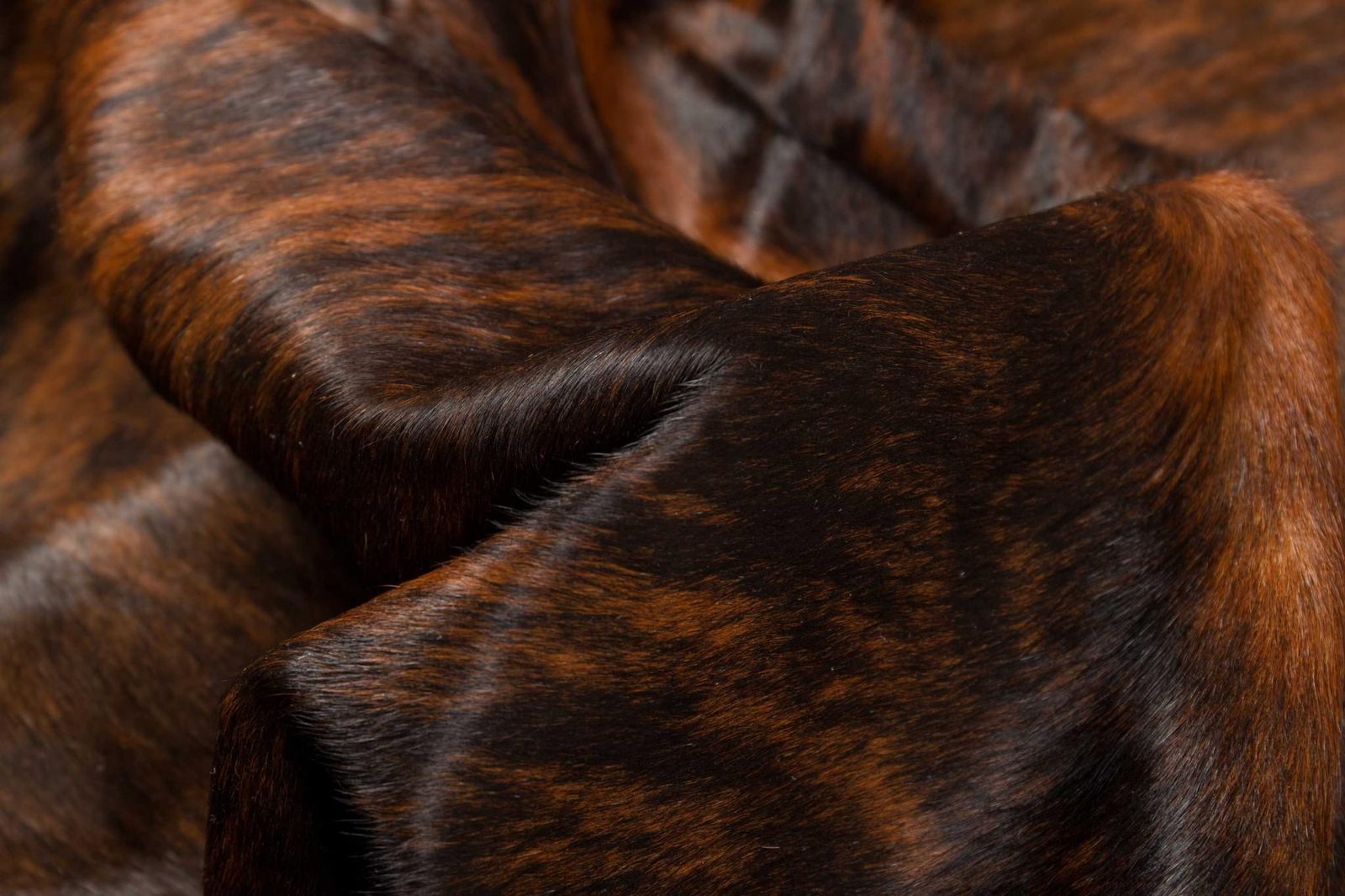 5′ X 7′ Brown And Black Cowhide Print Area Rug