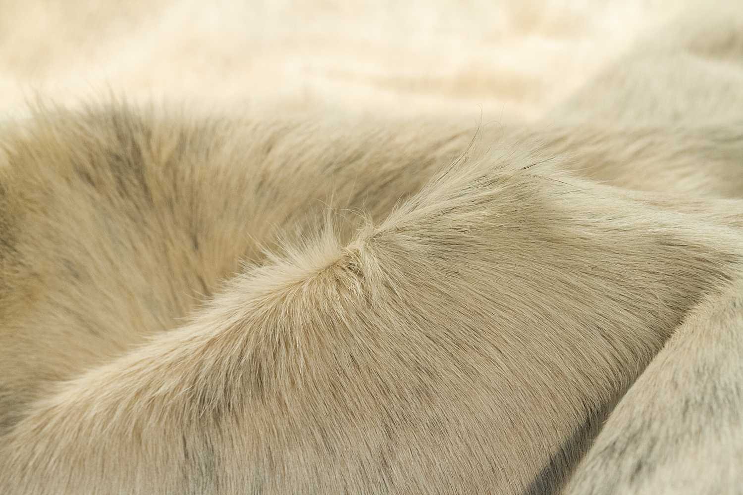 5′ X 7′ Ivory Cowhide Print Area Rug