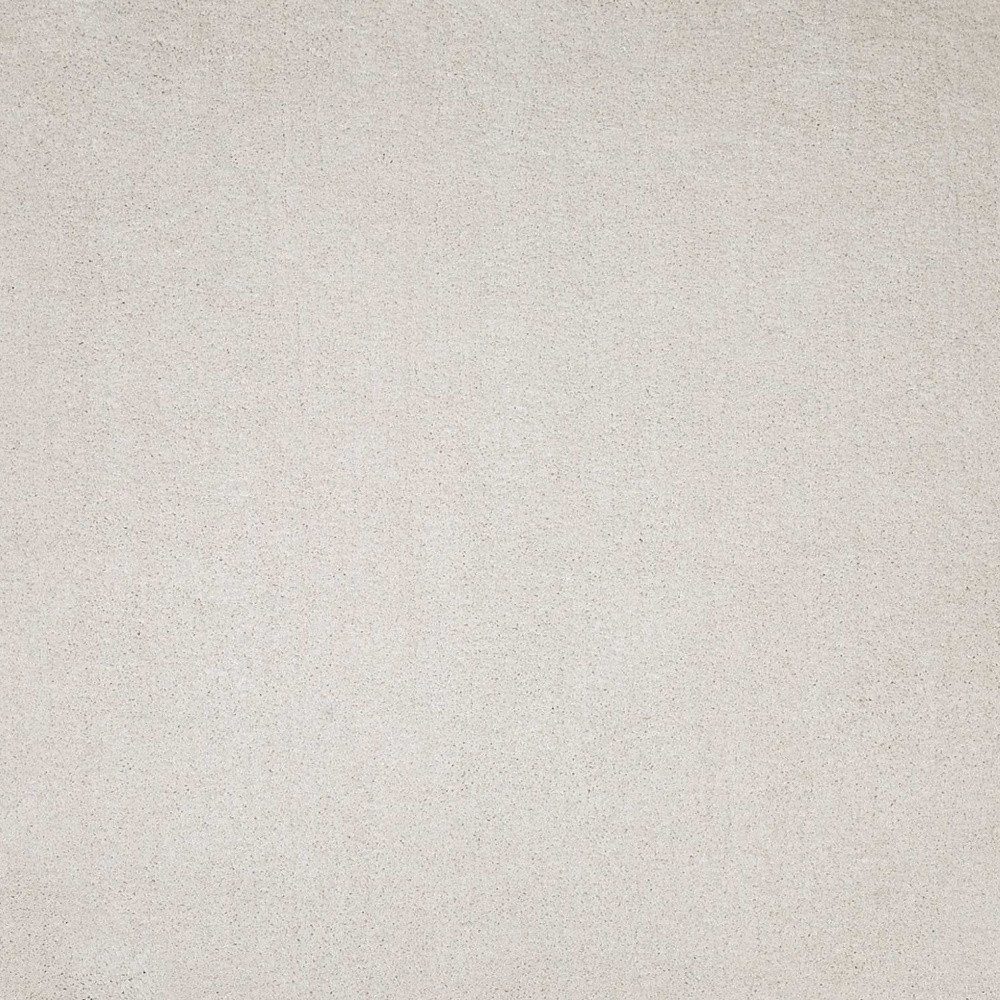 8′ X 11′ Ivory Shag Hand Woven Area Rug