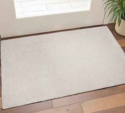 2′ X 4′ Ivory Hand Woven Area Rug