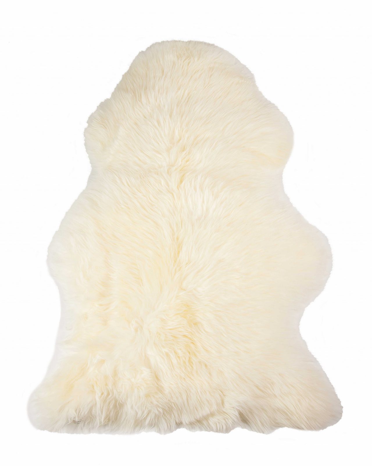 2′ X 3′ Ivory Shag Area Rug