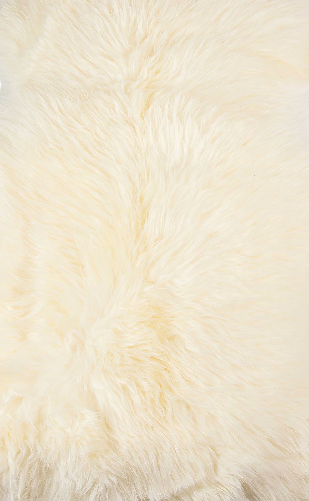 2′ X 3′ Ivory Shag Area Rug