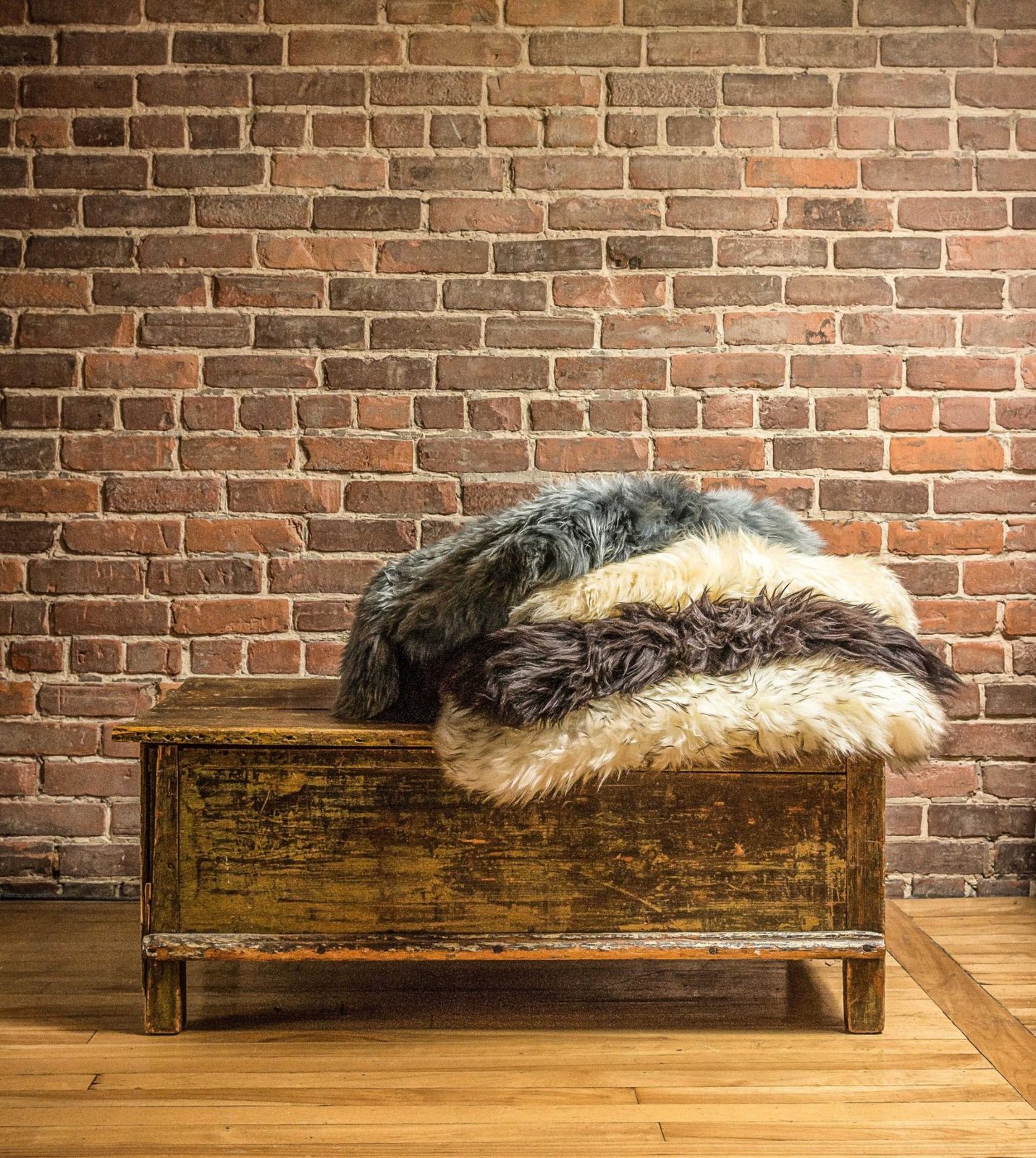 2′ X 3′ Ivory Shag Area Rug