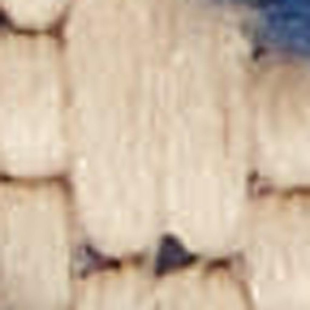 4′ X 6′ Ivory And Blue Indoor Outdoor Area Rug