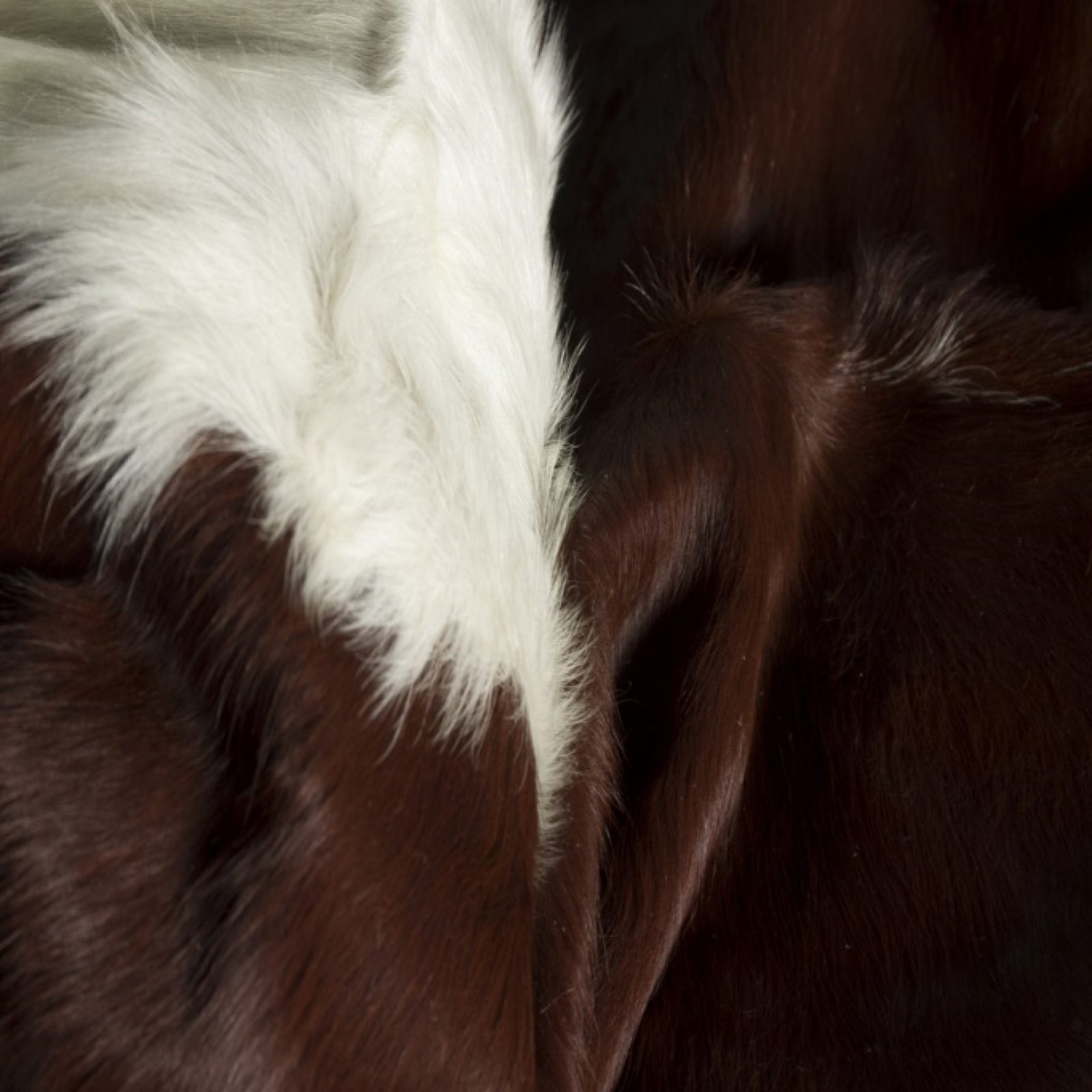6′ X 7′ Brown And White Cowhide Area Rug
