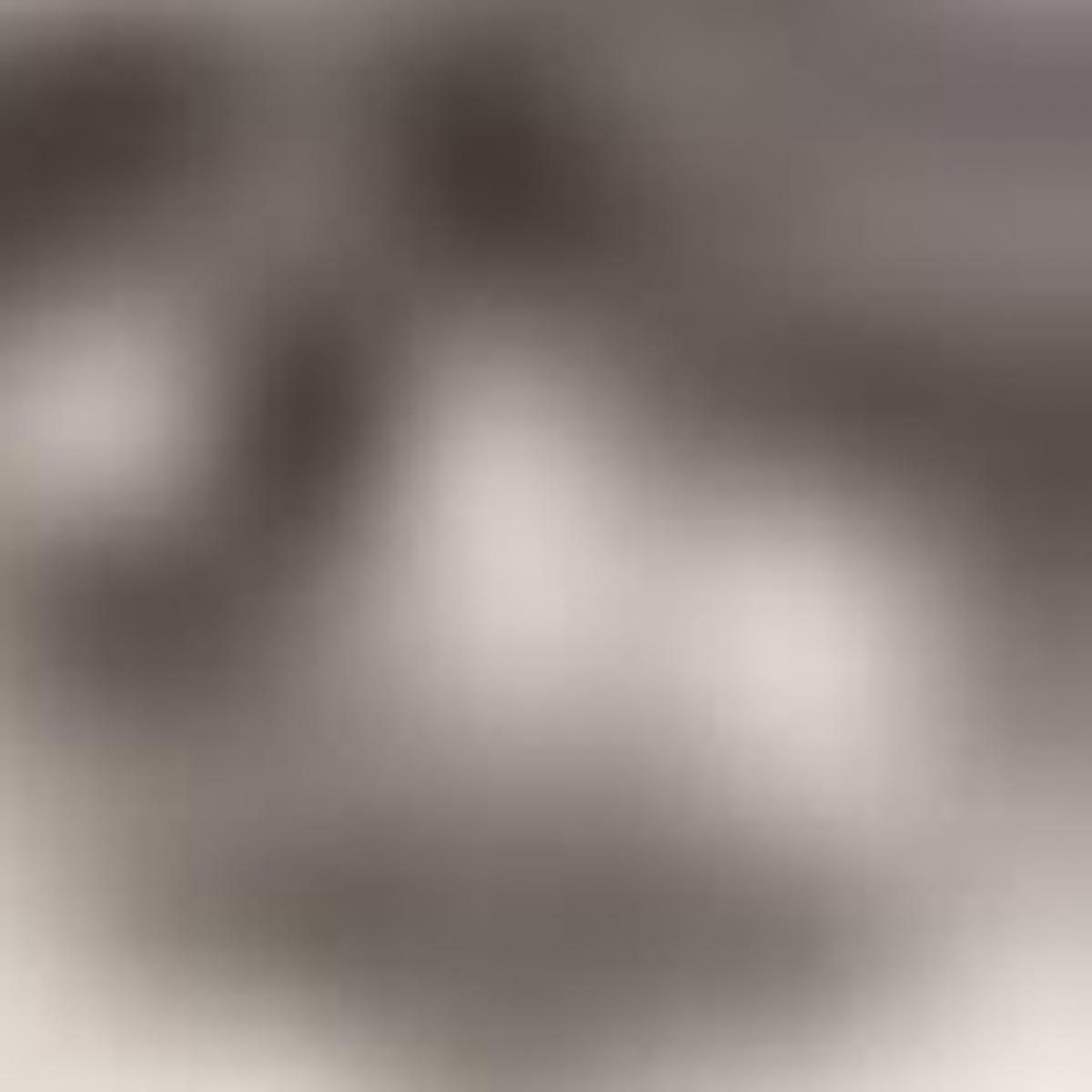 4′ X 6′ Gray and Brown Abstract Distressed Area Rug