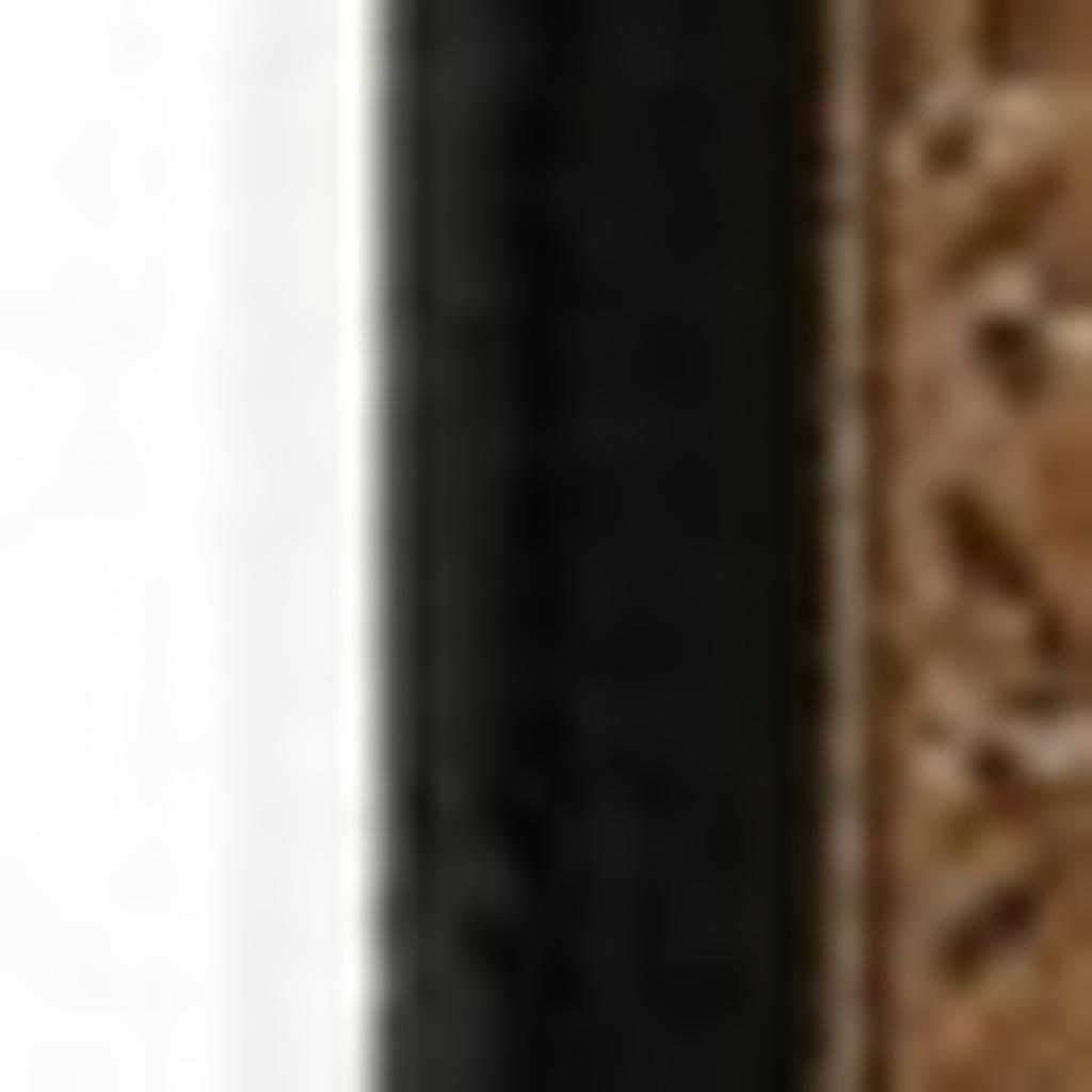 10′ Black and Ivory Oriental Runner Rug