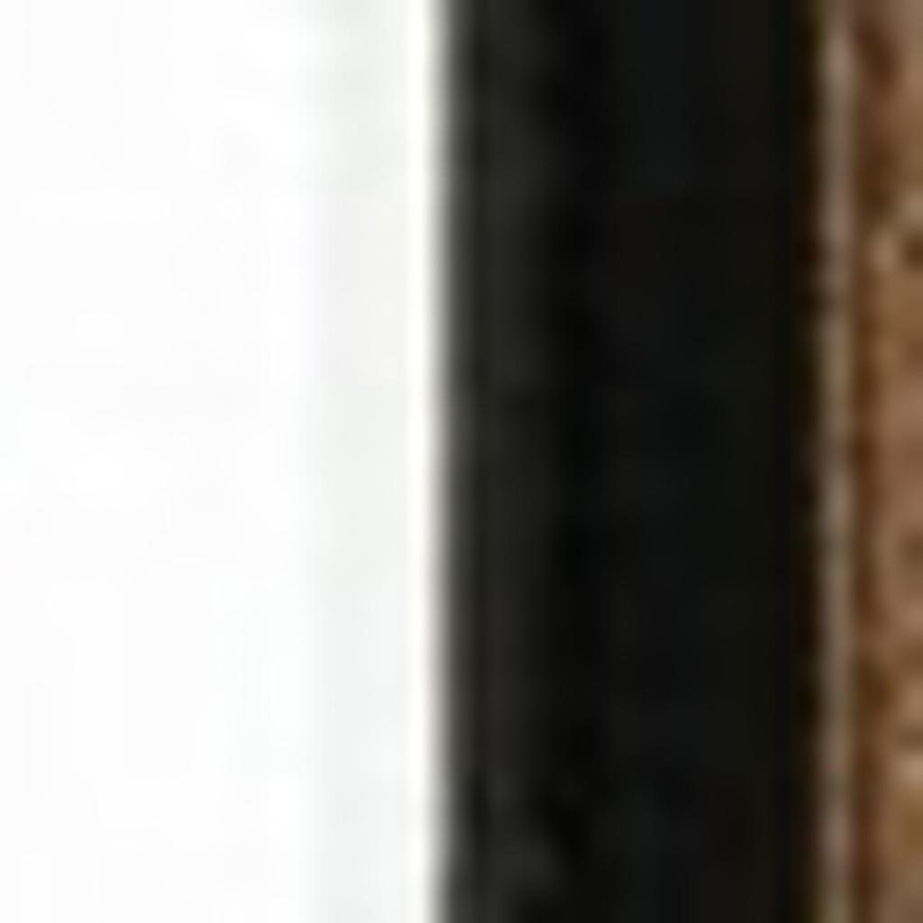 20′ Black and Ivory Oriental Runner Rug