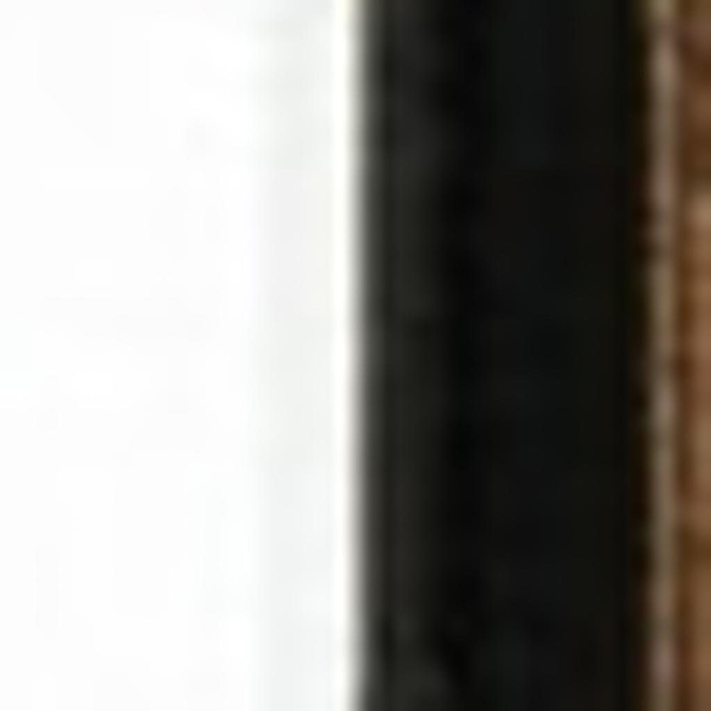 8′ Black and Ivory Oriental Runner Rug