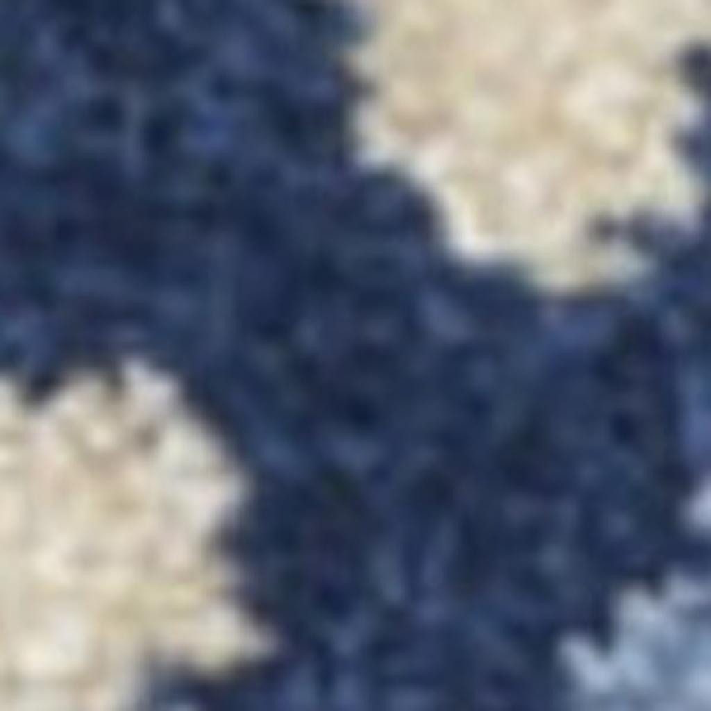 3′ X 4′ Blue and Gray Indoor Outdoor Area Rug
