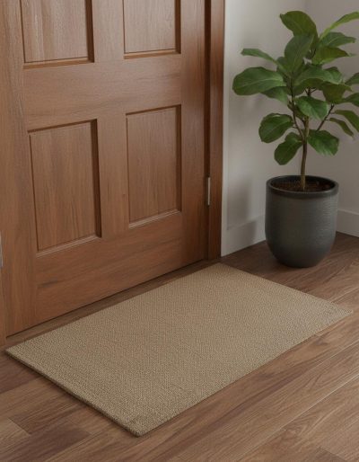 2′ X 3′ Brown Hand Woven Area Rug