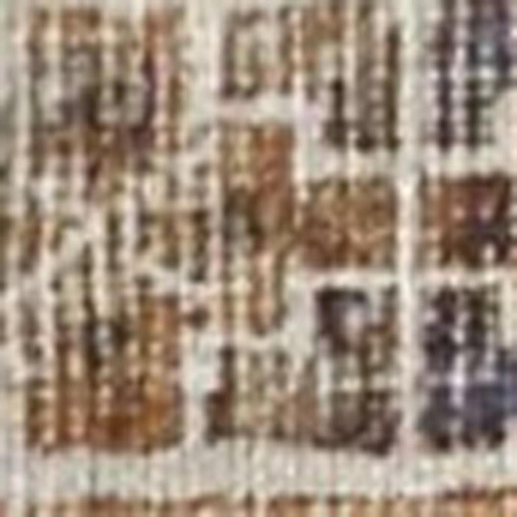 4′ X 6′ Brown Ivory and Orange Medallion Area Rug