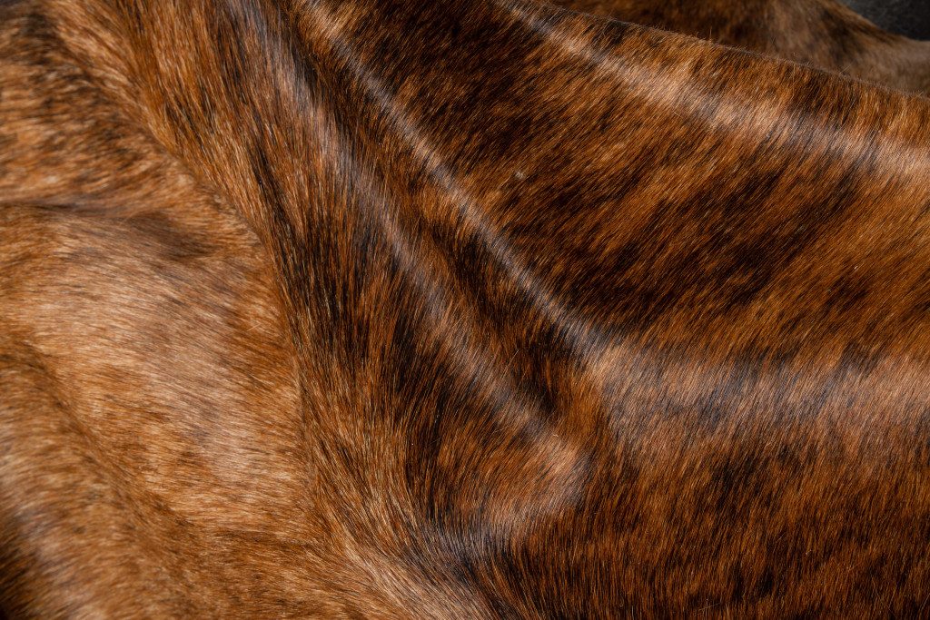 6′ X 7′ Brown Cowhide Hand Knotted Area Rug II