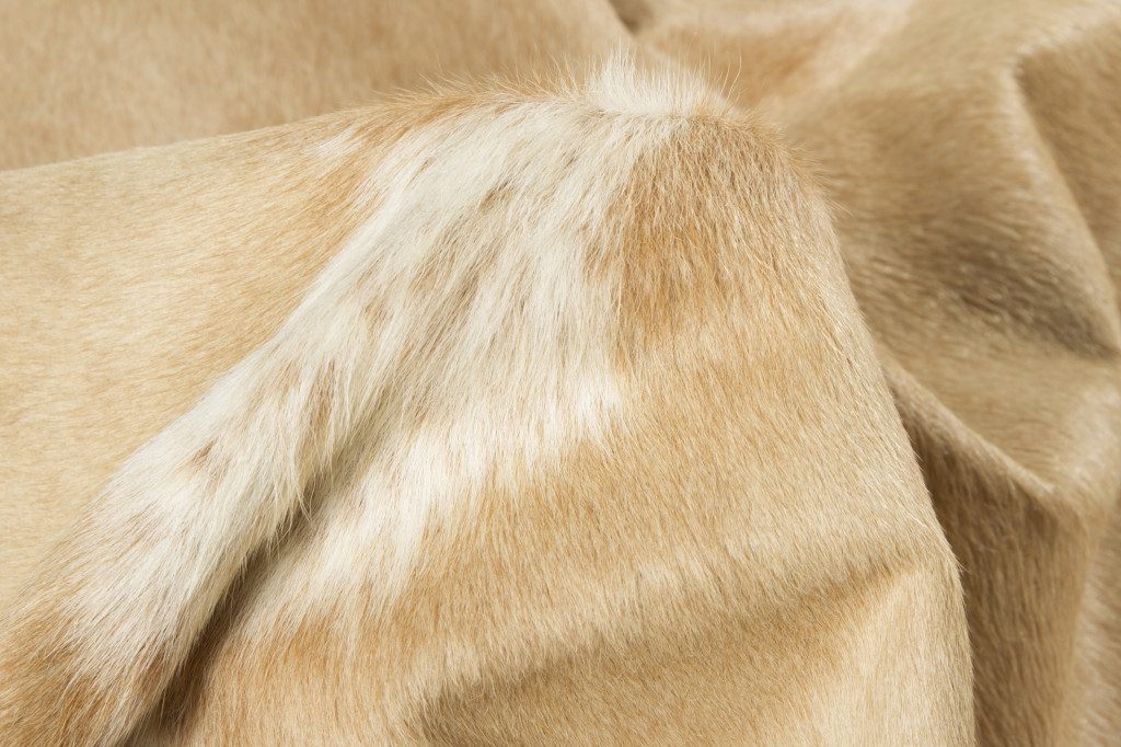 5′ X 7′ Brown and White Cowhide Area Rug V