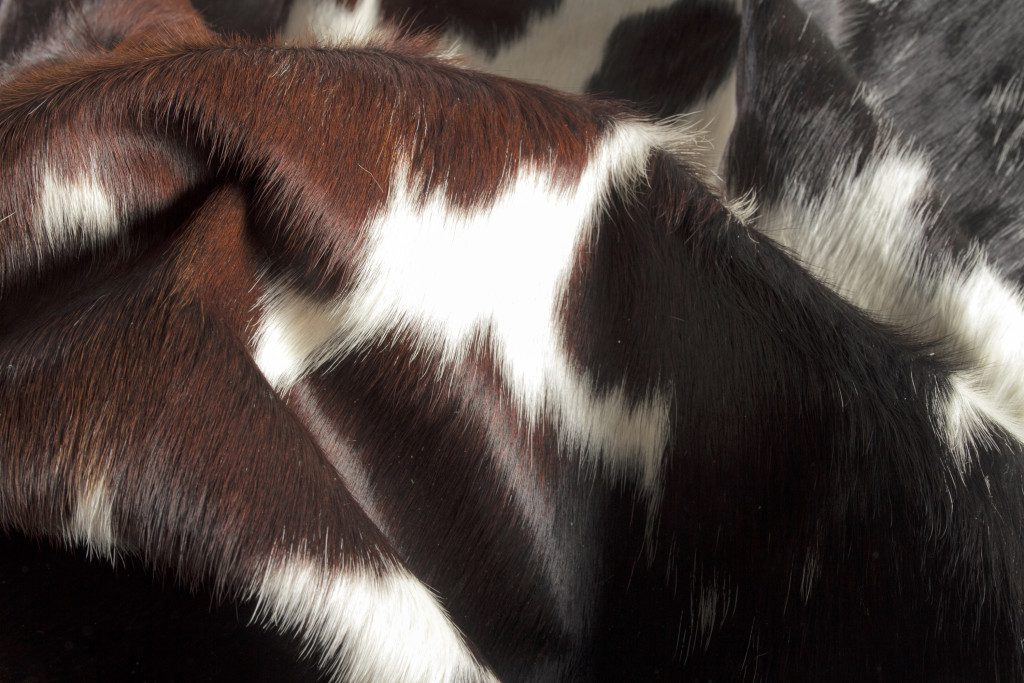 5′ X 7′ Brown and White Cowhide Area Rug IV