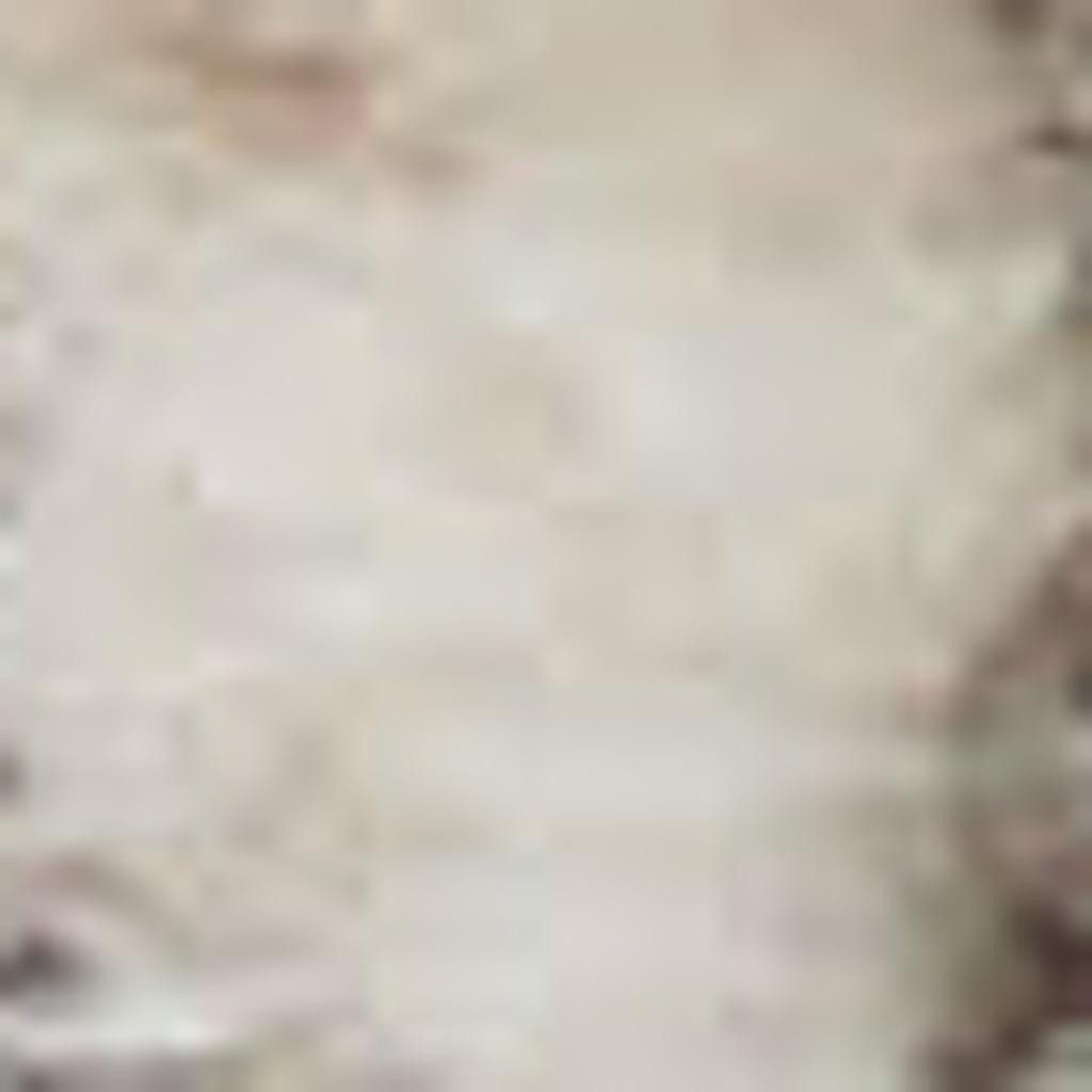 12′ X 15′ Beige and Gray Medallion Distressed Area Rug