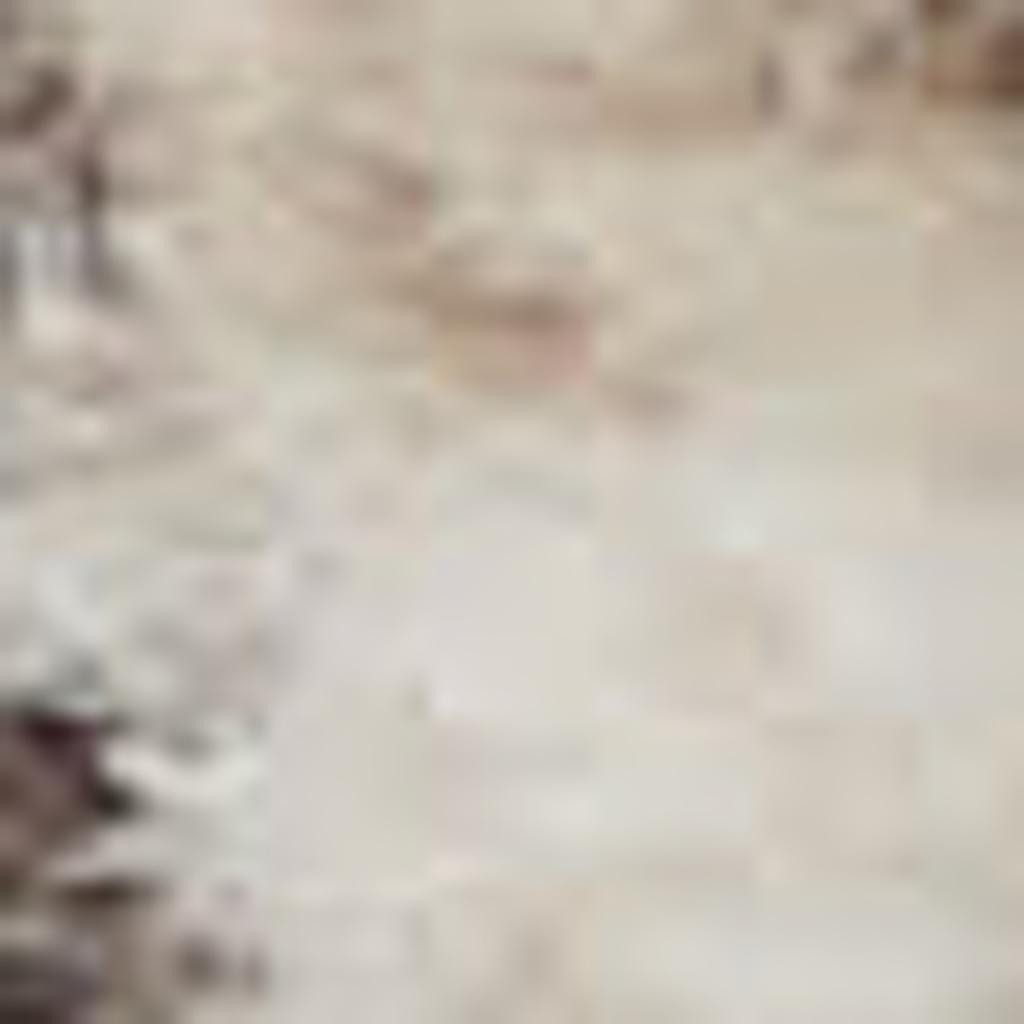 10′ Square Beige and Gray Distressed Medallion Area Rug