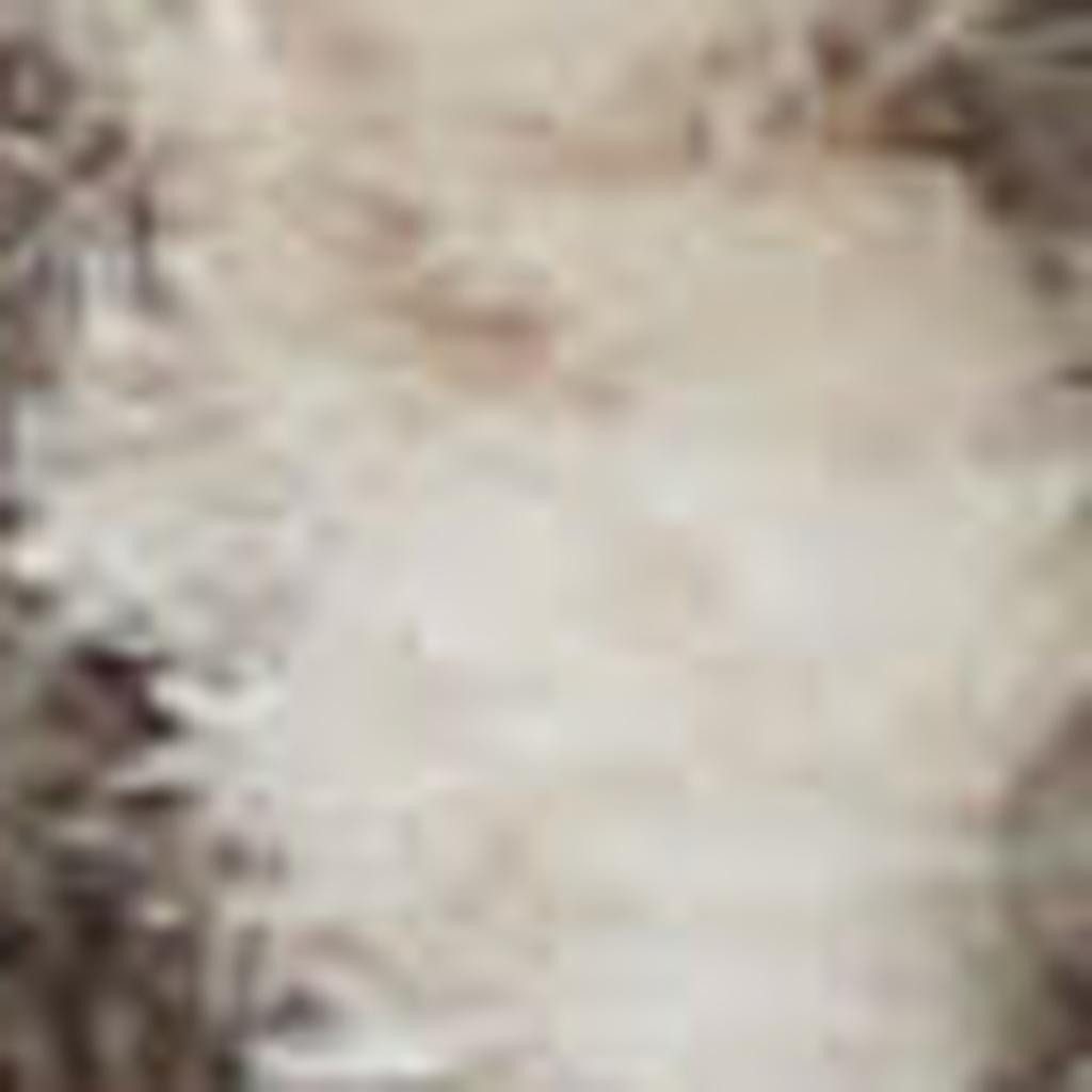5′ Square Beige and Gray Distressed Medallion Area Rug