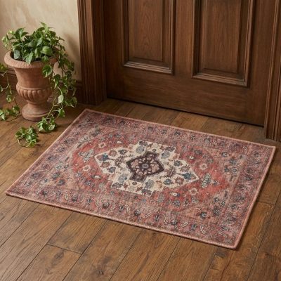 2′ X 4′ Beige and Red Distressed Medallion Area Rug