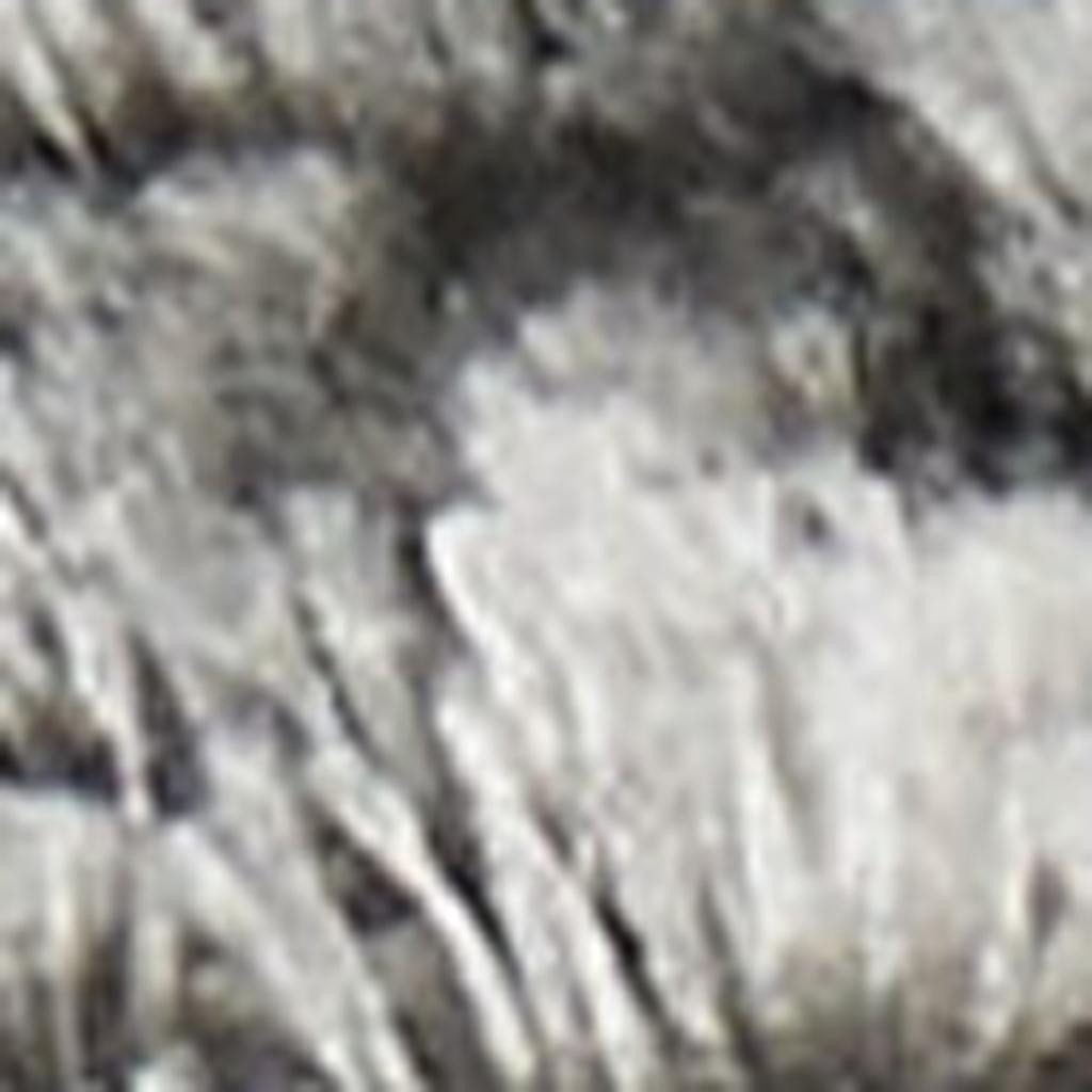 5′ X 7′ Charcoal Ivory Abstract Shag Area Rug III