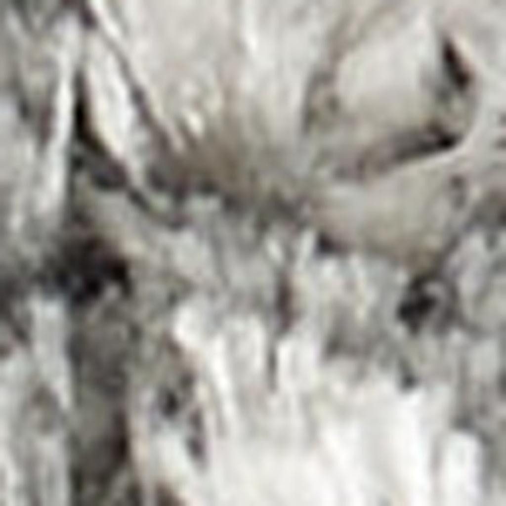 5′ X 7′ Charcoal and Ivory Abstract Shag Area Rug