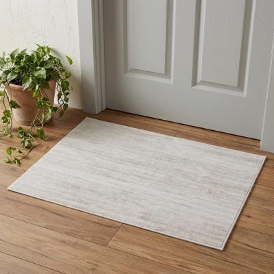 2′ × 3′ Ivory And Silver Area Rug