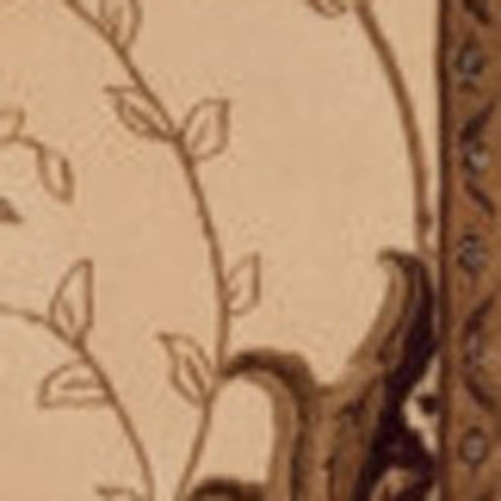 7′ Tan and Brown Oriental Runner Rug