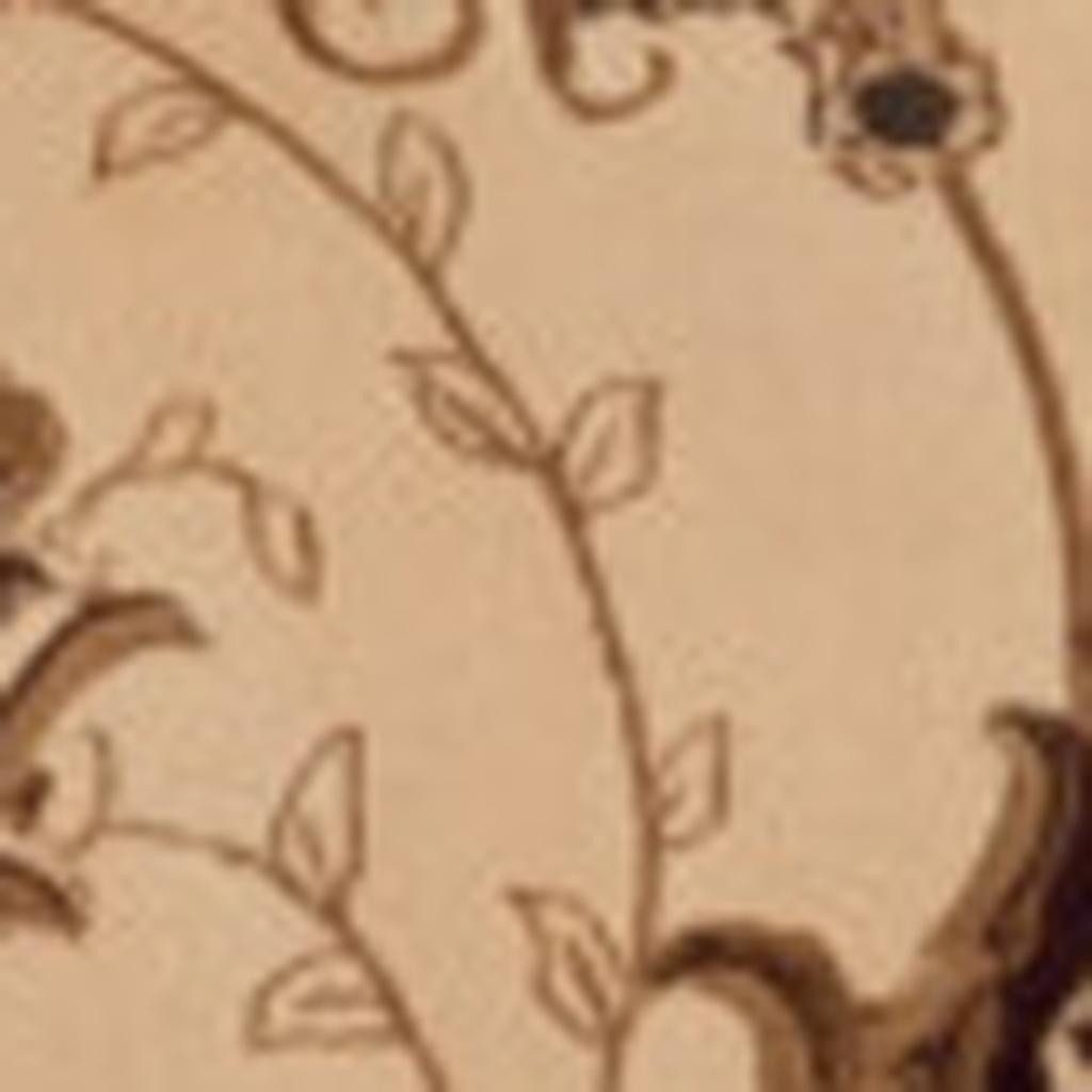 30′ Tan and Brown Oriental Runner