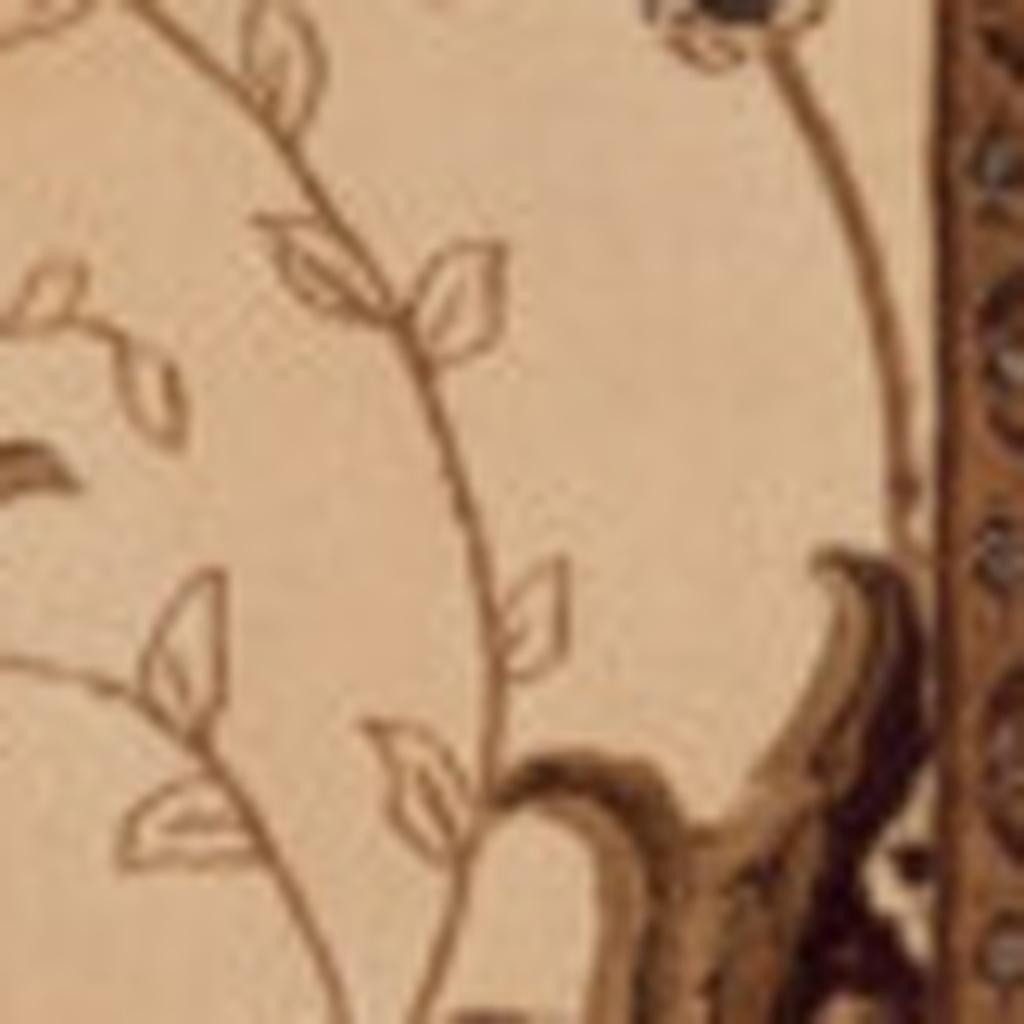 25′ Tan and Brown Oriental Runner Rug