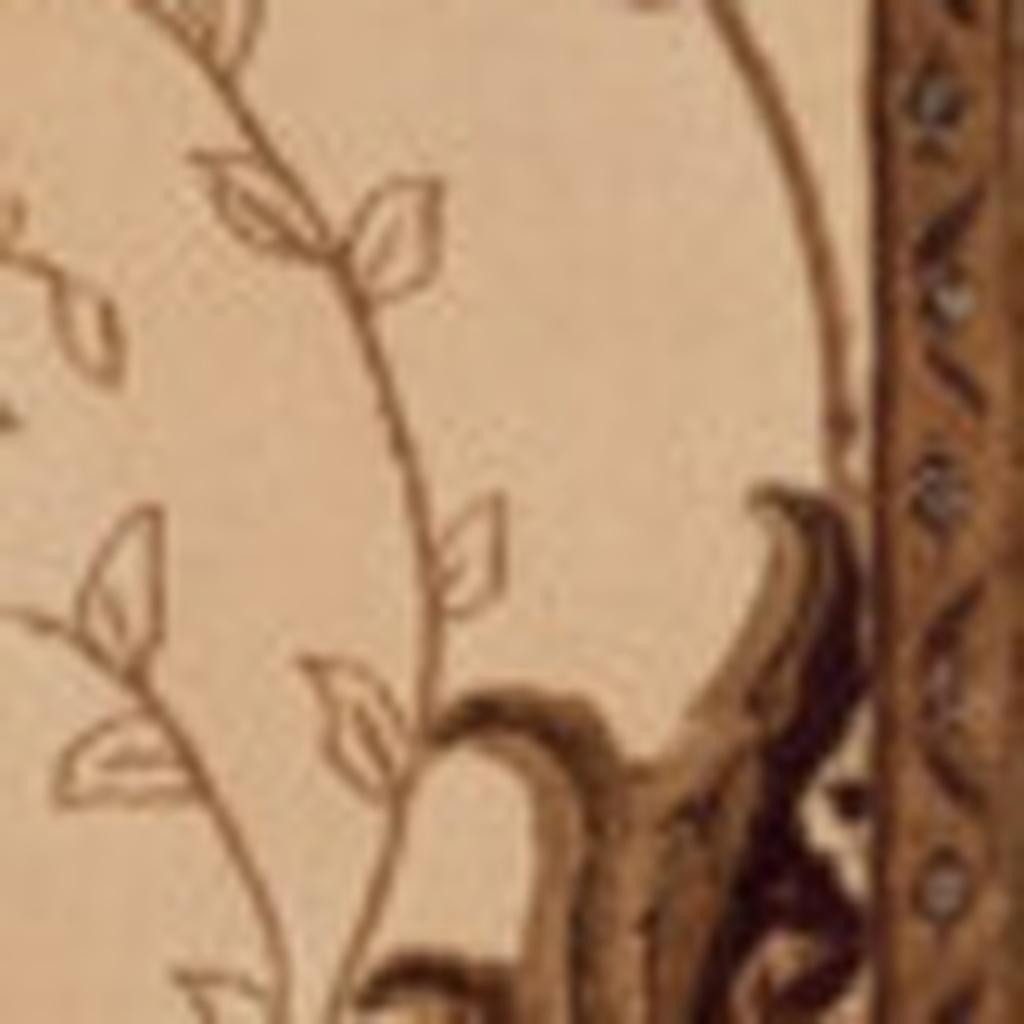 17′ Tan and Brown Oriental Runner Rug