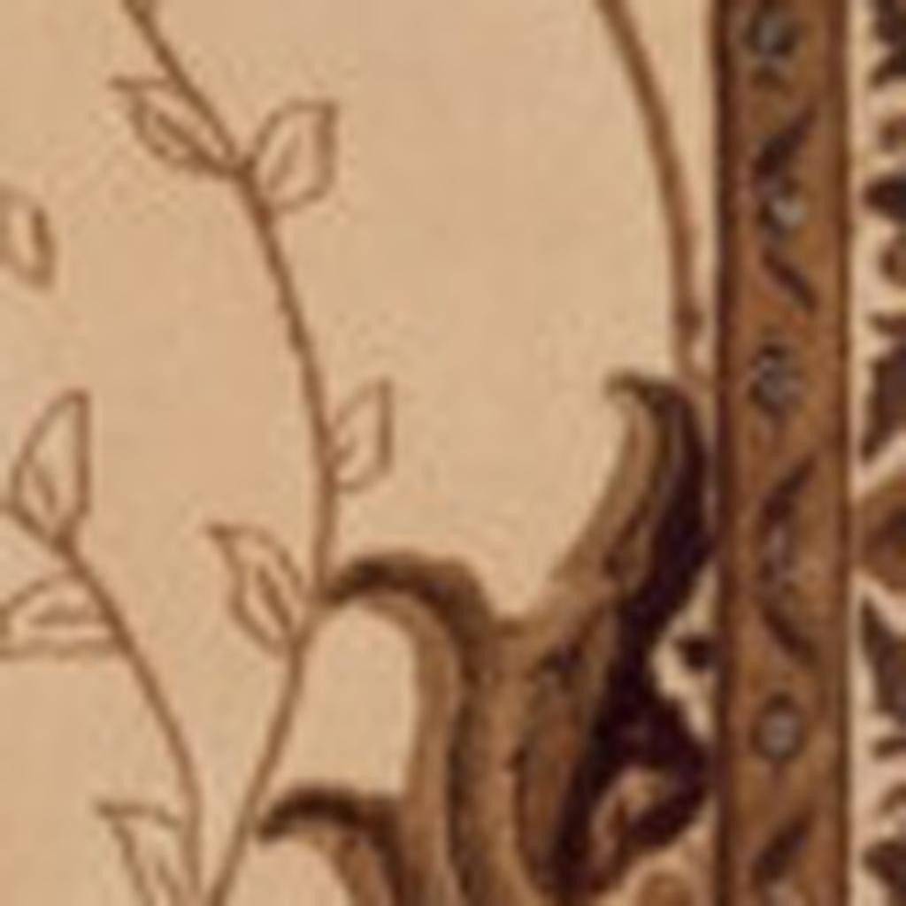 18′ Beige and Brown Oriental Runner Rug