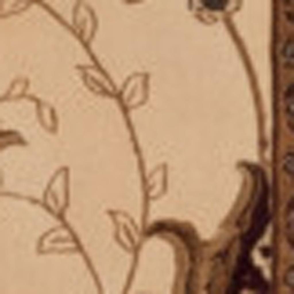 11′ Beige and Brown Oriental Runner Rug